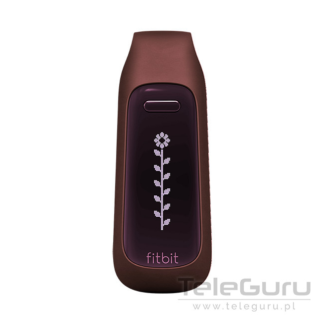 Fitbit One