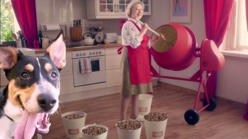 Virgin Mobile wystawia na aukcję platynowy numer i pomaga bezdomnym czworonogom